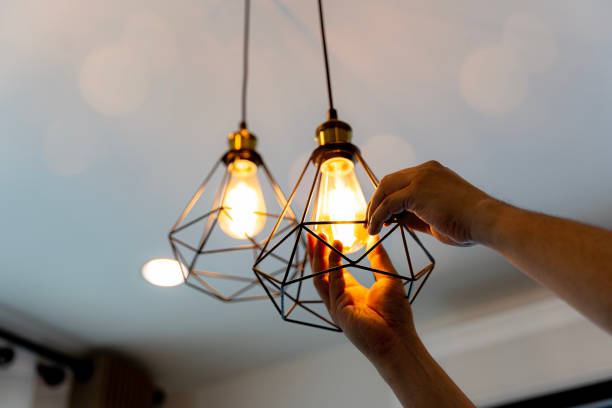 Best Electric Panel Repair  in Lake Mills, WI